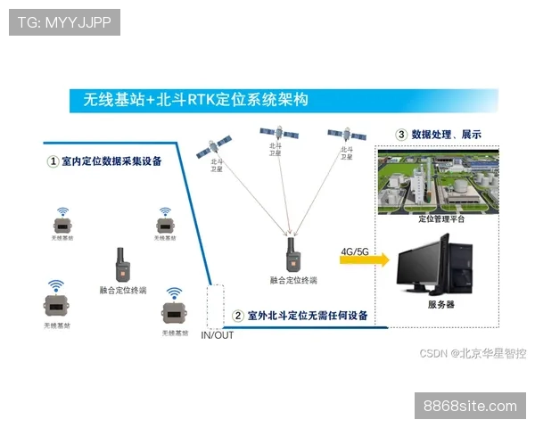 达尼洛的多位置适应性与攻防稳定性解析